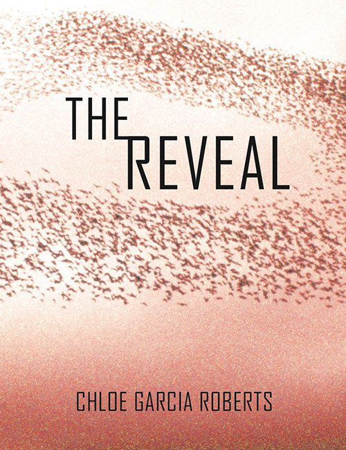 The Reveal