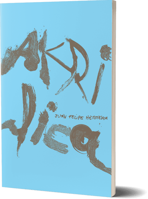 Akrilica book cover